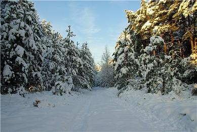 粉丝自制虚幻5《寂静岭》10分钟实机演示分享